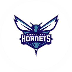 Charlotte Hornets-icon