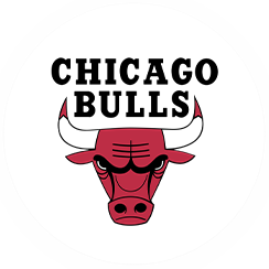Chicago Bulls-icon
