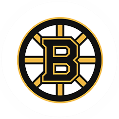 Boston Bruins-icon
