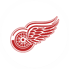 Detroit Red Wings-icon