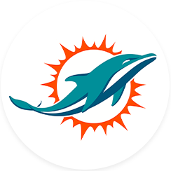 Miami Dolphins-icon